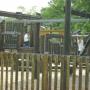 Angela Mccollum Photo 22