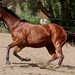 Sue Sorrell Photo 7