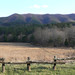 Virginia Caldwell Photo 16