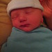 Debbie Landers Photo 18