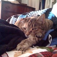 Joyce Metzger Photo 9