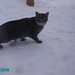 Jennifer Strayer Photo 17