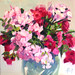 Liza Rose Photo 13