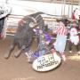 Clayton Rodgers Photo 18