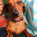 Mabel Brown Photo 14