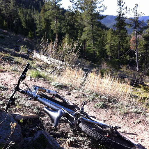 Mark Jarvis Photo 33