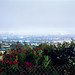 Julie Seely Photo 15