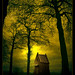 Dirk Moody Photo 6