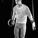 Andrew Arena Photo 14