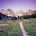 Alice Gee Photo 14
