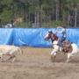 Steven Norton Photo 39