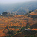Linh Giang Photo 17