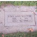 Ann Rector Photo 11