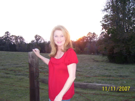 Sheila Carpenter Photo 8