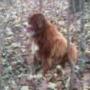 Laura Sampson Photo 25