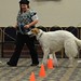 Linda Coburn Photo 22
