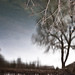 Linda Burnside Photo 12