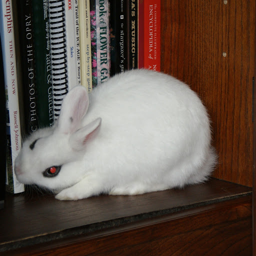 Michael Slott Photo 5