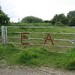 Lynn Fields Photo 16