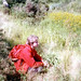 Chad Fields Photo 16