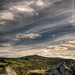 Devon King Photo 23