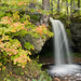Autumn Scott Photo 16
