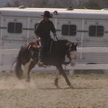 Jon Gardner Photo 24