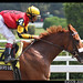 John Mallery Photo 12