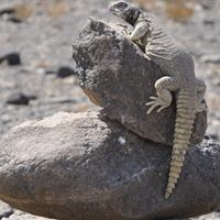 John Connors Photo 28