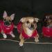 Karen Runyan Photo 4