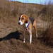 Virginia Wight Photo 14