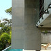 Angelo Bucci Photo 7