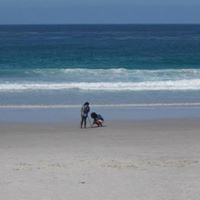 Cora Williams Photo 7