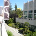 Shawn Bing Photo 12