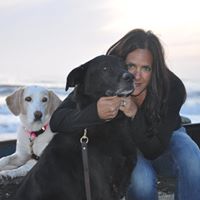 Michelle Vitale Photo 12