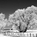 Ryan Frost Photo 16