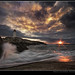 Peggy Ray Photo 28