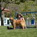 Sherry Hill Photo 12