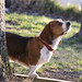 Sharon Meyer Photo 17