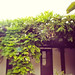 Julia Souther Photo 10