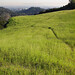 Beverly Meadows Photo 8