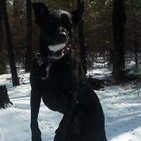 Wilson Walker Photo 13