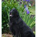 Dale Godwin Photo 5