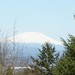 Helen Morin Photo 13