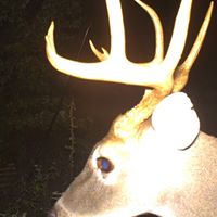 Rick Chappell Photo 7
