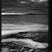 Connie Pace Photo 24