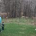 Jamie Deer Photo 12
