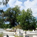 Jean Fleming Photo 41