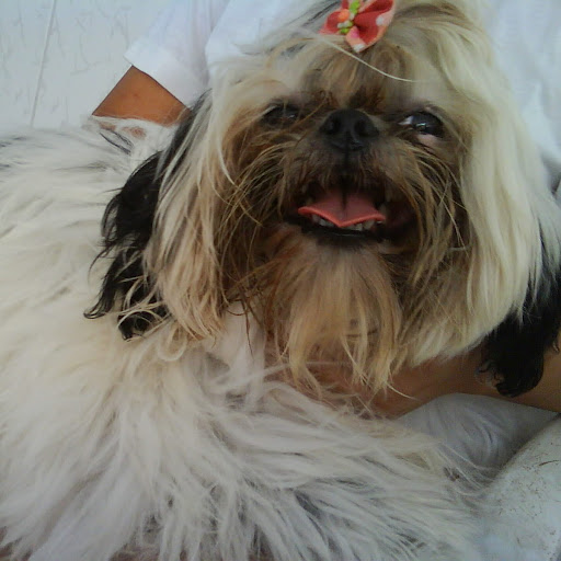 Fabiola Gomes Photo 29