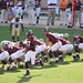 David Glennon Photo 17